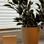 Weidblick * 韦斯特施泰德