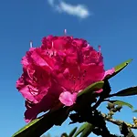 Weidblick 公寓 韦斯特施泰德