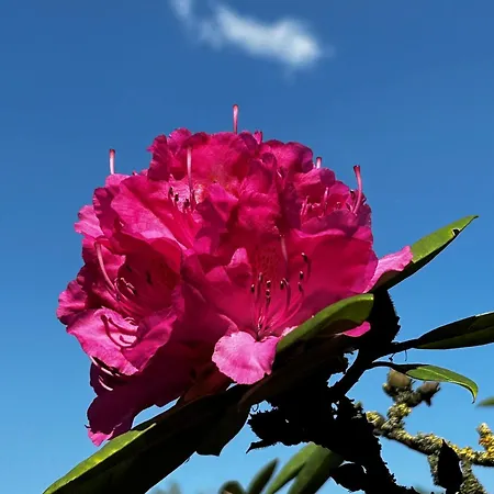 Weidblick 公寓 韦斯特施泰德
